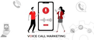 voice call service