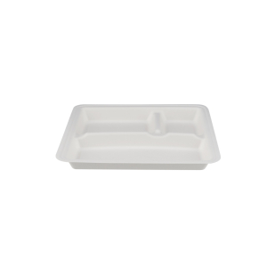 500 Pieces Biodegradable 3 Compartment 10 Inch Square Tray - Natural Disposable