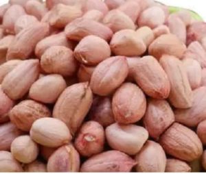 indian raw peanut