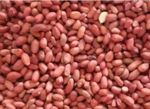 Red Natal Peanuts