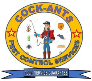 cockroach control services