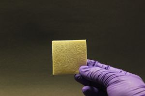 Collograft-B Dry Collagen Sheet