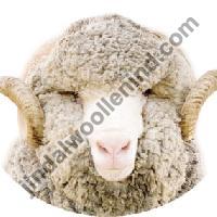 Cashmere Waste