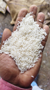5% Broken Indian Long Grain White Rice