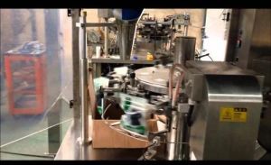 Pickle Packaging Machine