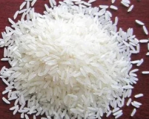 IR 64 Rice