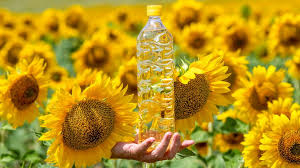 Fresh Sunflower Oil