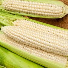 Fresh White Maize