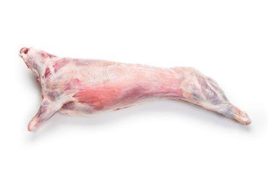 mutton carcass