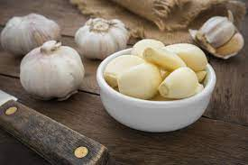 Garlic Plant