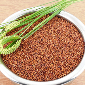 Finger Millets