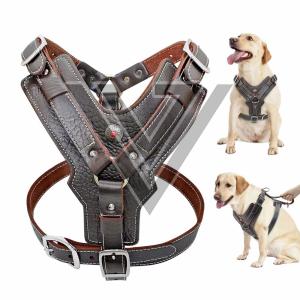 Leather Dog Leashes Manufacturer Supplier from Kolkata India