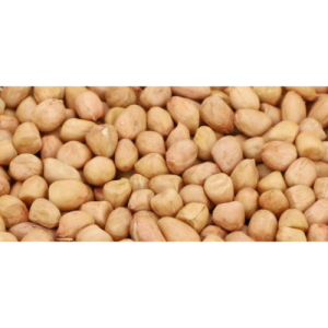 K6 Groundnut Agriculture Seed