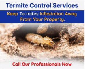 Reliable Termite Control Services