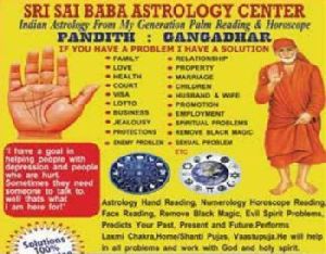 Astrologer Services