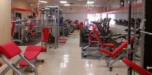 full commercial gym setup