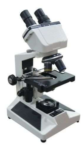 Binocular Research Microscope (BP-10)