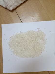 Rice
