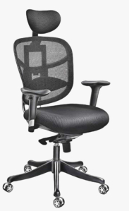 Vassio Ergonomic Chair