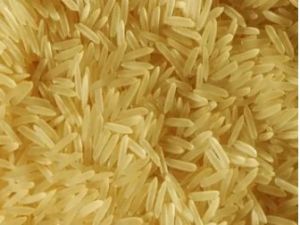 1509 Golden Sella Basmati Rice