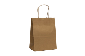 Brown Paper Carry Bags
