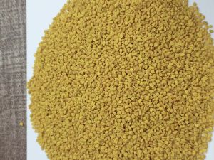 Fenugreek Seed