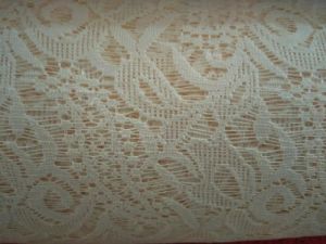 Embroidered Nylon Net Fabric