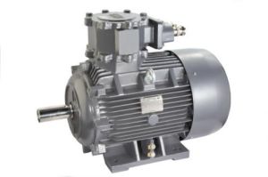 Explosion Proof Motor