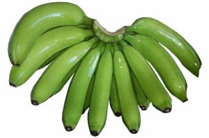 Green Cavendish Banana