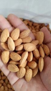 California Almond Nut