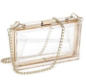 Acrylic Clutch Bag
