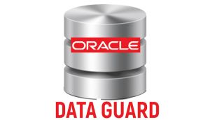 Oracle Data Guard Online Training & Certification From India