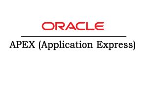 Best Oracle APEX Training from Hyderabad
