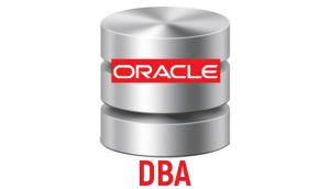 Best Oracle DBA Training from Hyderabad
