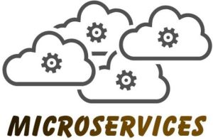 Microservices Professional Certification & Training From India