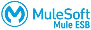 Mulesoft Course Online Training Classes from India