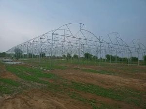 Greenhouses Construction Services
