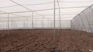 Flat Roof Net House