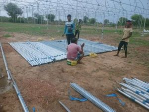Greenhouses Construction Services