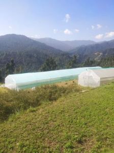 Agricultural Green Houses