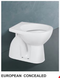 western toilet