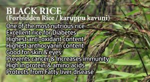 unpolished black rice- karuppu kavuni