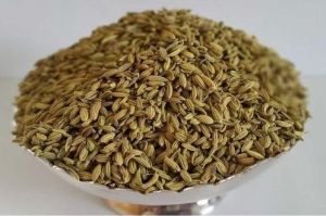 Fennel Seeds