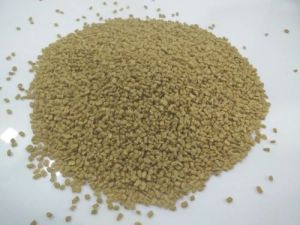 Fenugreek Seeds