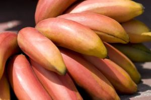 Red Banana