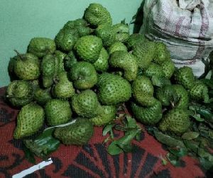 Soursop Fruit