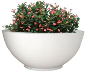 Greenwell Fiberglass Bowl Shape FRP Planter