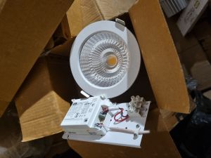 Ceiling Downlight