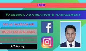 Facebook marketing Service