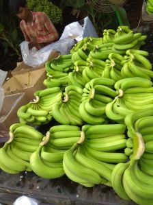 Fresh Cavendish Bananas